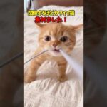 Thumbnail of related posts 053
