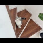 Thumbnail of related posts 087