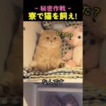 Thumbnail of related posts 191