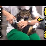 Thumbnail of related posts 107