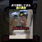 Thumbnail of related posts 029