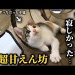 Thumbnail of related posts 021
