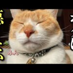 Thumbnail of related posts 037