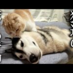 Thumbnail of related posts 164