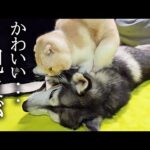 Thumbnail of related posts 016