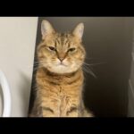 Thumbnail of related posts 059