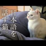 Thumbnail of related posts 120