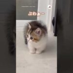Thumbnail of related posts 055