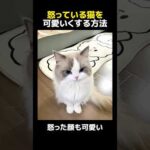 Thumbnail of related posts 102