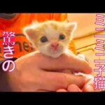 Thumbnail of related posts 152