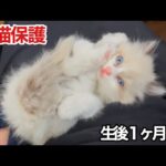 Thumbnail of related posts 115